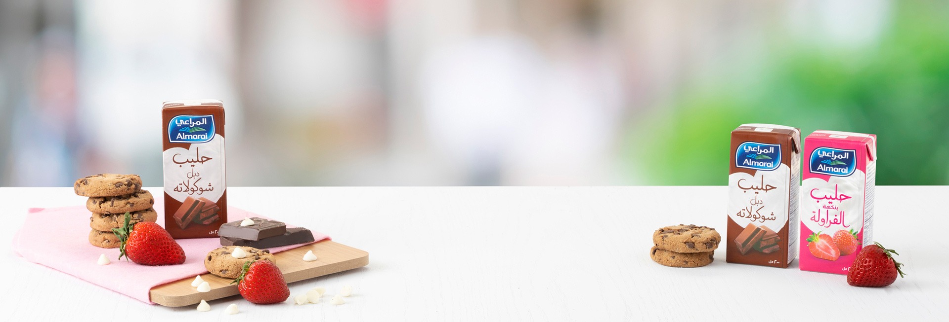 Portfolio Header